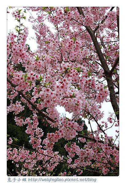 IMG_7485-1.jpg IMG_7485-1.jpg