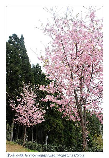 IMG_7490-1.jpg IMG_7490-1.jpg