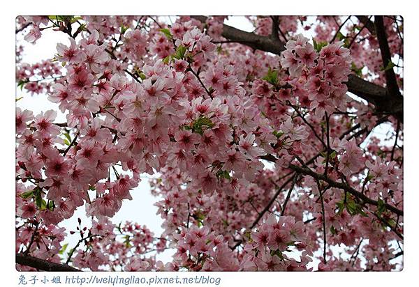 IMG_7487-1.jpg IMG_7487-1.jpg