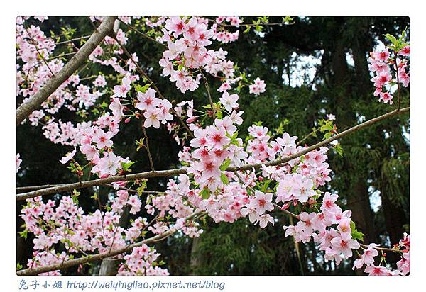 IMG_7493-1.jpg IMG_7493-1.jpg