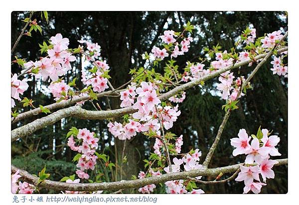 IMG_7511-1.jpg IMG_7511-1.jpg