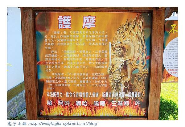 IMG_4514-1.jpg IMG_4514-1.jpg