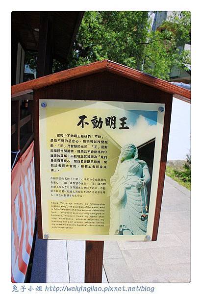 IMG_4545-1.jpg IMG_4545-1.jpg