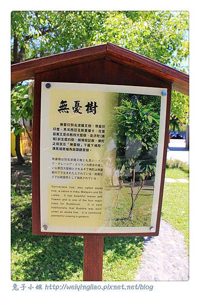 IMG_4546-1.jpg IMG_4546-1.jpg