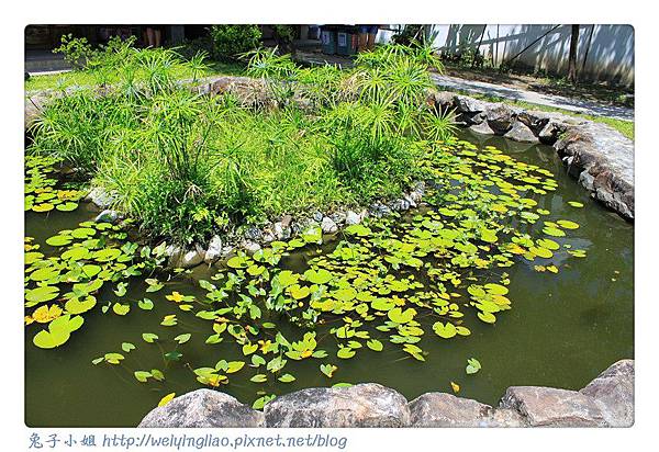 IMG_4603-1.jpg IMG_4603-1.jpg