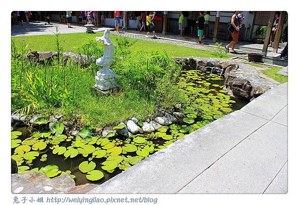 IMG_4604-1.jpg IMG_4604-1.jpg