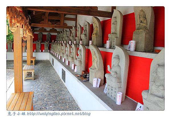 IMG_4619-1.jpg IMG_4619-1.jpg