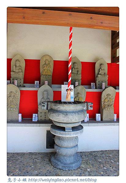 IMG_4626-1.jpg IMG_4626-1.jpg