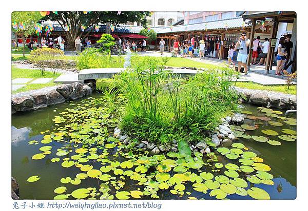 IMG_4647-1.jpg IMG_4647-1.jpg