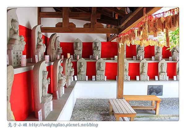 IMG_4655-1.jpg IMG_4655-1.jpg