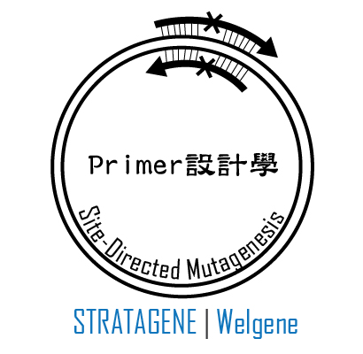 點突變 mutagenesis primer 設計