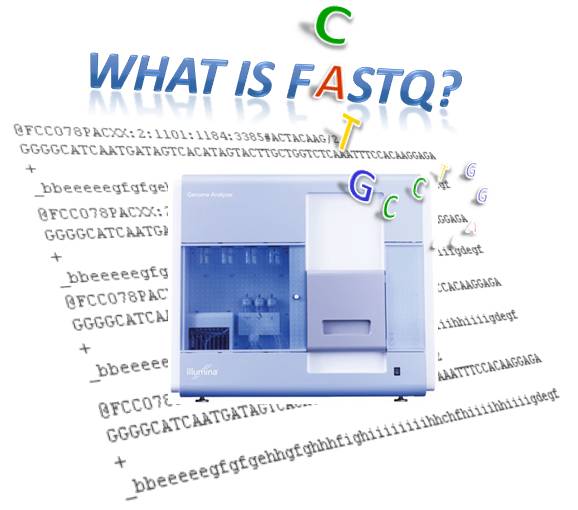 FASTQ格式