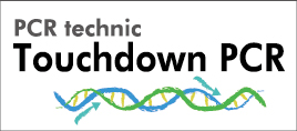 touchdownPCR-01