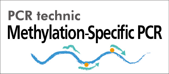 MS-PCR