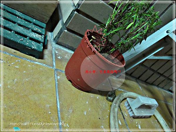 00062-20mRסC٫n