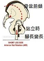 dalton04__1_1_6081 dalton04__1_1_6081