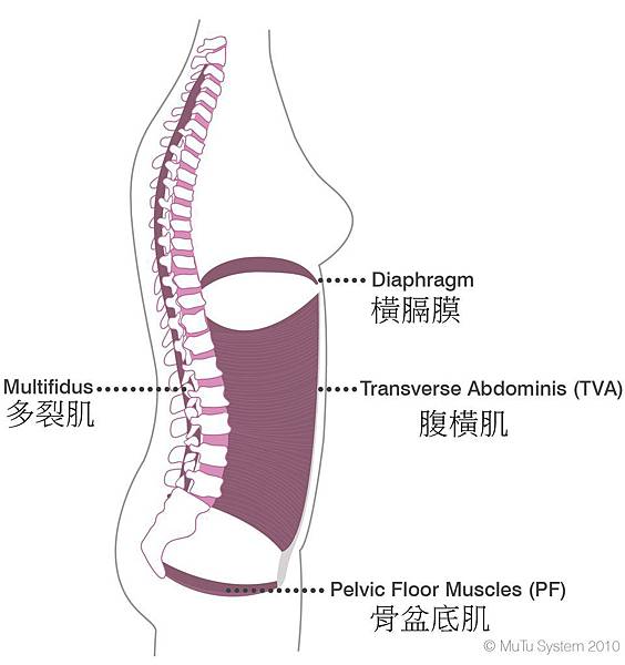 core