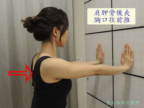 前鋸肌1 前鋸肌1