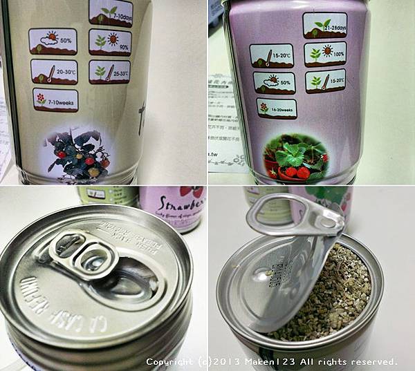 cats11.jpg cats11.jpg