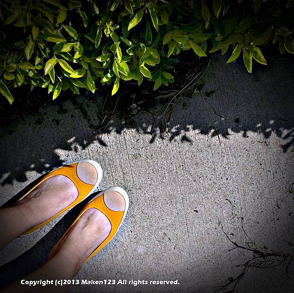 IMG_20130816_082741 IMG_20130816_082741