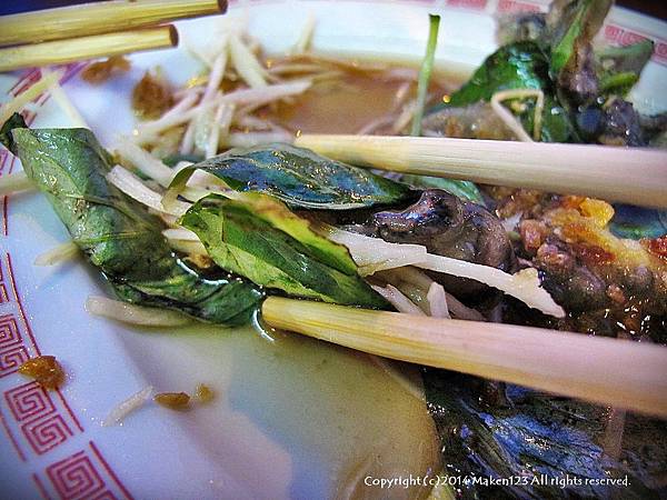 IMG_5172.JPG IMG_5172.JPG