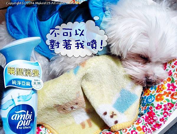 IMG_6742.JPG IMG_6742.JPG