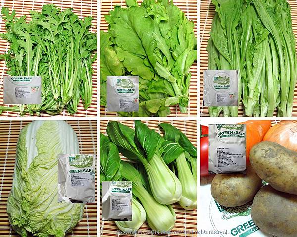 cats1113.jpg cats1113.jpg