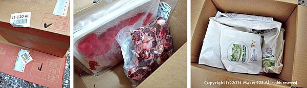 catsp-98.jpg catsp-98.jpg