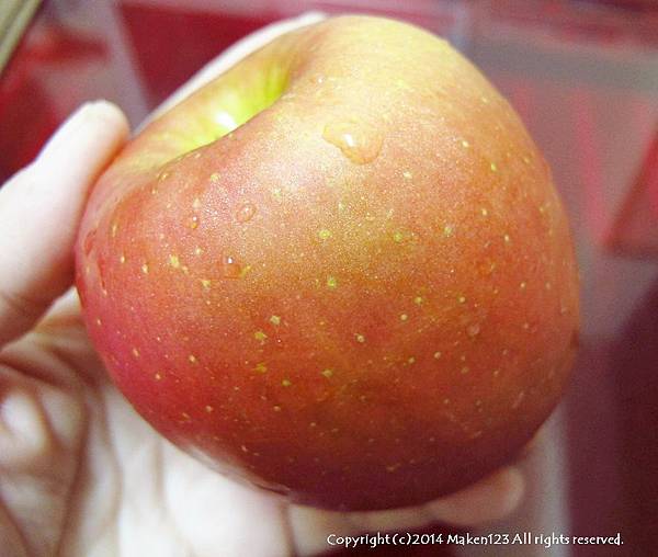 IMG_7787.JPG IMG_7787.JPG