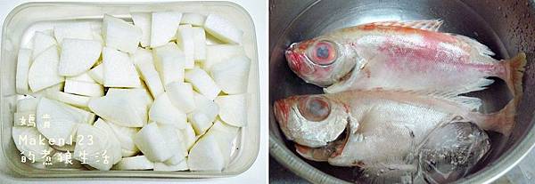 catsaaaaaa catsaaaaaa