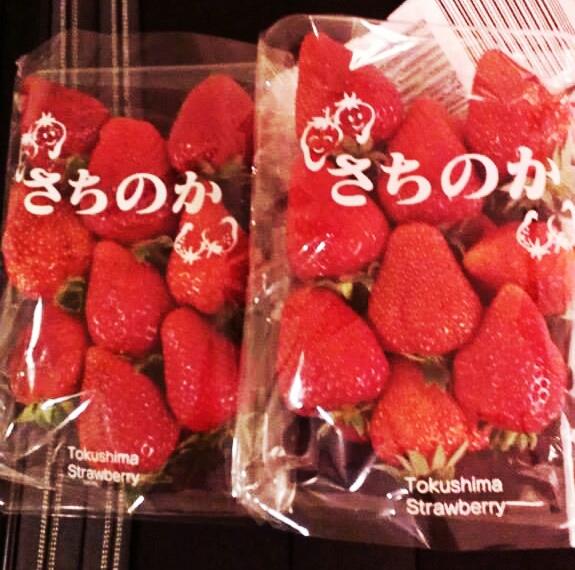 京都.大阪必买 战利品、 零食、伴手礼懒人包整
