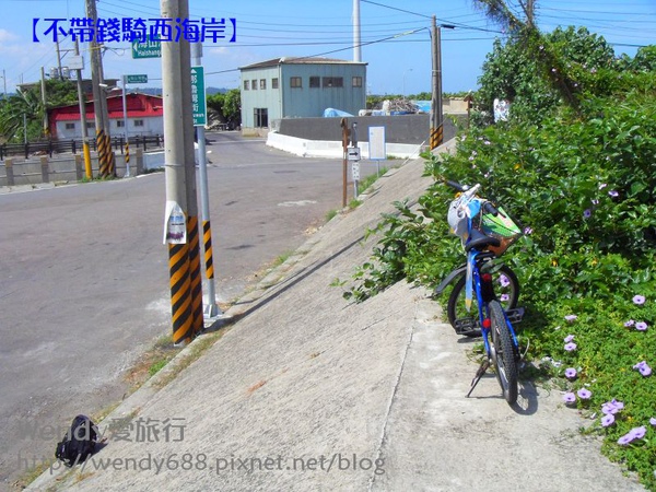 20090804向日葵到通霄32_nEO_IMG.jpg 20090804向日葵到通霄32_nEO_IMG.jpg