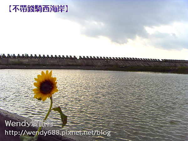 20090806梧棲到芳苑鄉85.jpg 20090806梧棲到芳苑鄉85.jpg