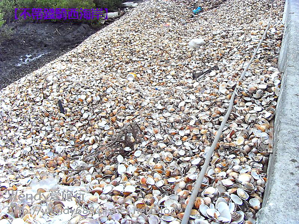 20090806梧棲到芳苑鄉89.jpg 20090806梧棲到芳苑鄉89.jpg