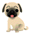 動畫小狗.gif