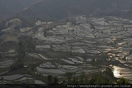 20140310_0591.JPG 20140310_0591.JPG