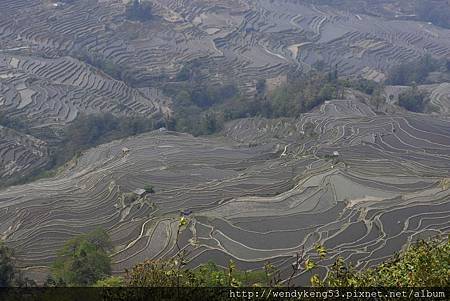 20140311_0512.JPG 20140311_0512.JPG