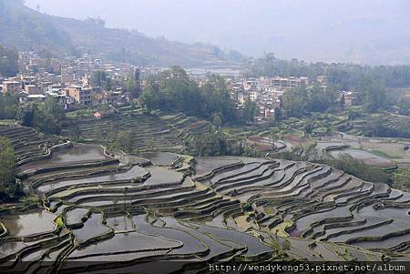 20140311_0474.JPG 20140311_0474.JPG