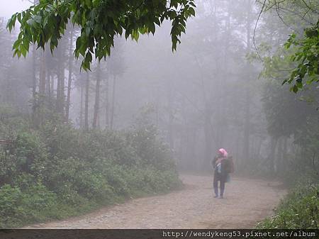 P3150083.JPG P3150083.JPG