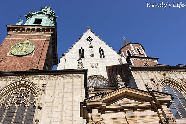 IMG_9981 IMG_9981