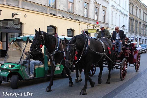 IMG_9993 IMG_9993