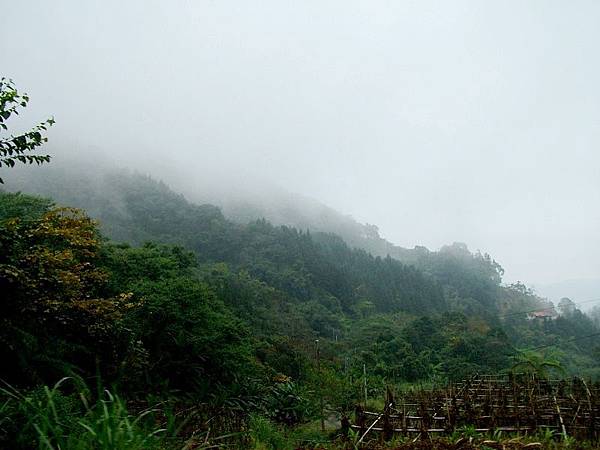 DSCF8302.jpg DSCF8302.jpg