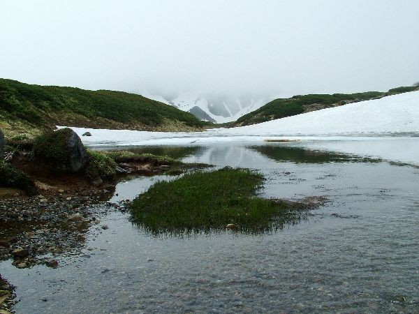 040622-088立山溶雪 040622-088立山溶雪