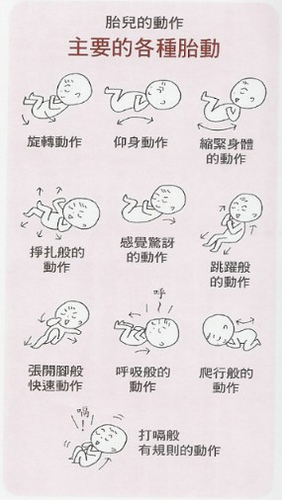 关於胎动