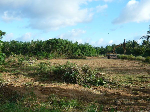 1317388787-2020040508_n