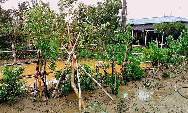 IMAG0092.jpg IMAG0092.jpg