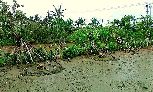 IMAG0093_1.jpg IMAG0093_1.jpg