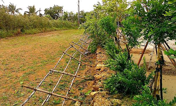 IMAG0101.jpg IMAG0101.jpg