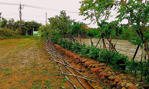 IMAG0103.jpg IMAG0103.jpg