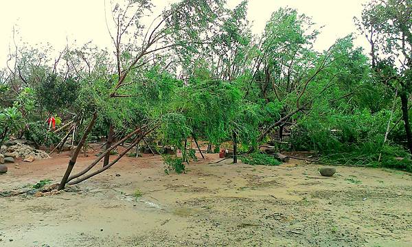 IMAG0109_1.jpg IMAG0109_1.jpg